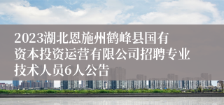 2023湖北恩施州鹤峰县国有资本投资运营有限公司招聘专业技术人员6人公告