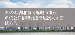 2023年湖北黄冈麻城市事业单位公开招聘引进高层次人才面试公告