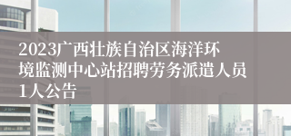 2023广西壮族自治区海洋环境监测中心站招聘劳务派遣人员1人公告