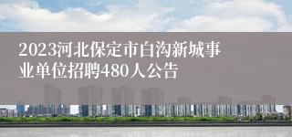 2023河北保定市白沟新城事业单位招聘480人公告