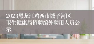 2023黑龙江鸡西市城子河区卫生健康局招聘编外聘用人员公示