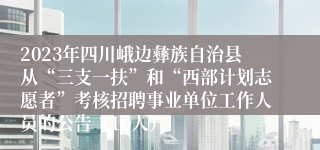 2023年四川峨边彝族自治县从“三支一扶”和“西部计划志愿者”考核招聘事业单位工作人员的公告（10人）