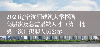 2023辽宁沈阳建筑大学招聘高层次及急需紧缺人才（第三批第一次）拟聘人员公示