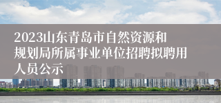 2023山东青岛市自然资源和规划局所属事业单位招聘拟聘用人员公示