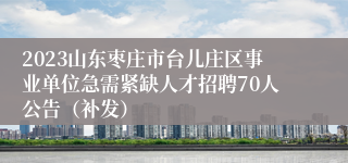 2023山东枣庄市台儿庄区事业单位急需紧缺人才招聘70人公告（补发）