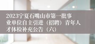 2023宁夏石嘴山市第一批事业单位自主引进（招聘）青年人才体检补充公告（六）