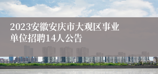 2023安徽安庆市大观区事业单位招聘14人公告