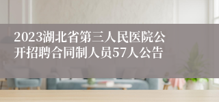 2023湖北省第三人民医院公开招聘合同制人员57人公告