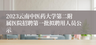 2023云南中医药大学第二附属医院招聘第一批拟聘用人员公示