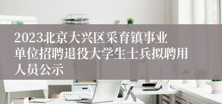 2023北京大兴区采育镇事业单位招聘退役大学生士兵拟聘用人员公示