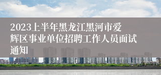 2023上半年黑龙江黑河市爱辉区事业单位招聘工作人员面试通知