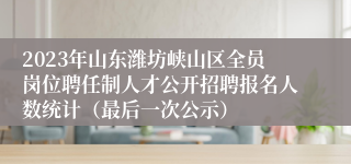 2023年山东潍坊峡山区全员岗位聘任制人才公开招聘报名人数统计（最后一次公示）