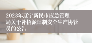 2023年辽宁新民市应急管理局关于补招派遣制安全生产协管员的公告