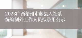 2023广西梧州市藤县人社系统编制外工作人员拟录用公示