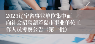 2023辽宁省事业单位集中面向社会招聘葫芦岛市事业单位工作人员考察公告（第一批）