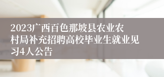 2023广西百色那坡县农业农村局补充招聘高校毕业生就业见习4人公告