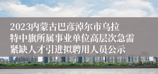 2023内蒙古巴彦淖尔市乌拉特中旗所属事业单位高层次急需紧缺人才引进拟聘用人员公示