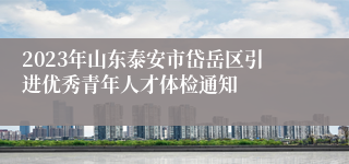 2023年山东泰安市岱岳区引进优秀青年人才体检通知 