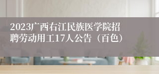 2023广西右江民族医学院招聘劳动用工17人公告（百色）