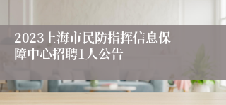 2023上海市民防指挥信息保障中心招聘1人公告