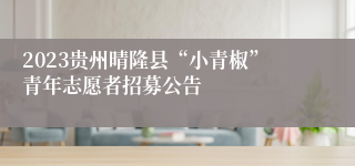 2023贵州晴隆县“小青椒”青年志愿者招募公告