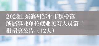 2023山东滨州邹平市魏桥镇所属事业单位就业见习人员第二批招募公告（12人）