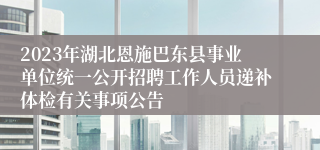 2023年湖北恩施巴东县事业单位统一公开招聘工作人员递补体检有关事项公告