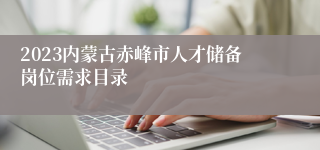 2023内蒙古赤峰市人才储备岗位需求目录