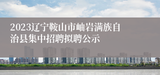 2023辽宁鞍山市岫岩满族自治县集中招聘拟聘公示