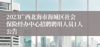 2023广西北海市海城区社会保险经办中心招聘聘用人员1人公告