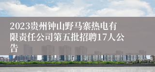 2023贵州钟山野马寨热电有限责任公司第五批招聘17人公告