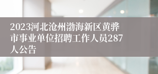 2023河北沧州渤海新区黄骅市事业单位招聘工作人员287人公告