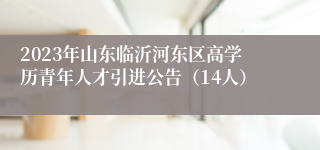 2023年山东临沂河东区高学历青年人才引进公告（14人）