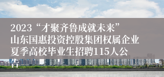 2023“才聚齐鲁成就未来”山东国惠投资控股集团权属企业夏季高校毕业生招聘115人公告