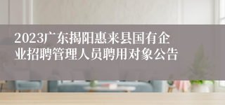 2023广东揭阳惠来县国有企业招聘管理人员聘用对象公告