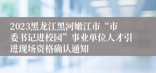 2023黑龙江黑河嫩江市“市委书记进校园”事业单位人才引进现场资格确认通知