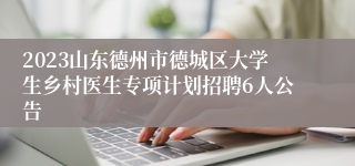 2023山东德州市德城区大学生乡村医生专项计划招聘6人公告