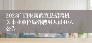 2023广西来宾武宣县招聘机关事业单位编外聘用人员40人公告