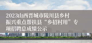 2023山西晋城市陵川县乡村振兴重点帮扶县“乡招村用”专项招聘总成绩公示