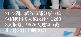 2023湖北武汉市部分事业单位招聘报考人数统计：12838人报考，9676人过审（截止7月30日10时30分）