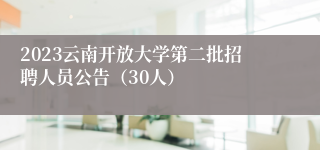 2023云南开放大学第二批招聘人员公告（30人）