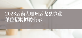 2023云南大理州云龙县事业单位招聘拟聘公示