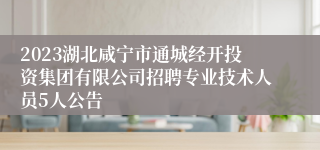 2023湖北咸宁市通城经开投资集团有限公司招聘专业技术人员5人公告