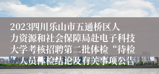 2023四川乐山市五通桥区人力资源和社会保障局赴电子科技大学考核招聘第二批体检“待检”人员体检结论及有关事项公告