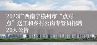 2023广西南宁横州市“点对点”送工和乡村公岗专管员招聘20人公告