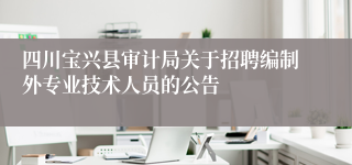 四川宝兴县审计局关于招聘编制外专业技术人员的公告