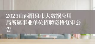 2023山西阳泉市大数据应用局所属事业单位招聘资格复审公告