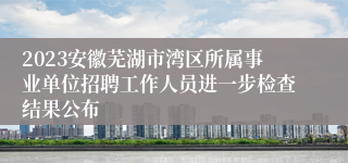 2023安徽芜湖市湾区所属事业单位招聘工作人员进一步检查结果公布