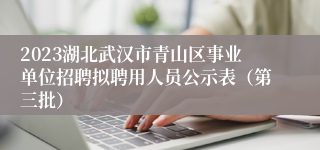 2023湖北武汉市青山区事业单位招聘拟聘用人员公示表（第三批）