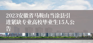 2023安徽省马鞍山当涂县引进紧缺专业高校毕业生15人公告